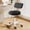 Black, variant on XUEGW Swivel Rolling Saddle Chair with Back Support, Thick Padded Seat Ergonomic Stool with Wheels, Suitable for Hair Salon, Dental Clinic, Spa, Massage Studio, Office & Home, Black