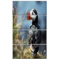 thumbnail image 2 of Cute Puffin Relaxing - Animal Art Painting, 2 of 3