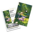 thumbnail image 5 of Collectible Pokémon TCG: 30th Celebration Mini Tin 10-Count Display Box, 5 of 5