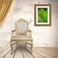 thumbnail image 3 of Engelbrecht, Lisa S. 13x18 Gold Ornate Wood Framed with Double Matting Museum Art Print Titled - Detail of palm fronds, 3 of 4