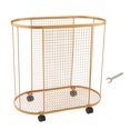 thumbnail image 1 of simhoa Workout Equipment Home Gym Storage Rack with Wheels for Yoga Blocks Dumbbell Gold, 1 of 8