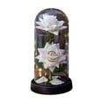 thumbnail image 2 of Preserved Rose Night Light in Glass / Dome - LED Light Up Eternal Rose for Valentineâs Day, Anniversary, Birthday | 21.5cm Tall, /Glass Options, 2 of 4