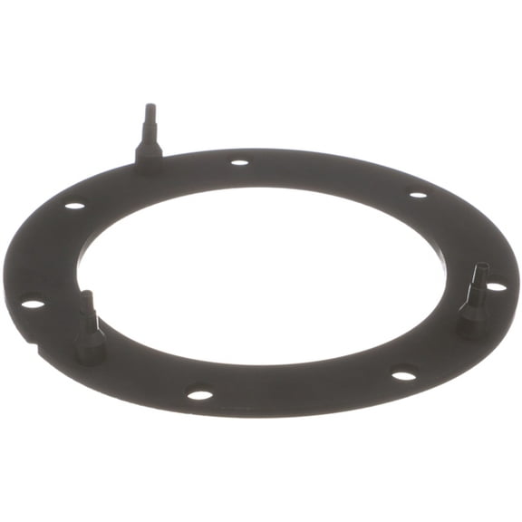 Delphi Fuel P. Tank Seal