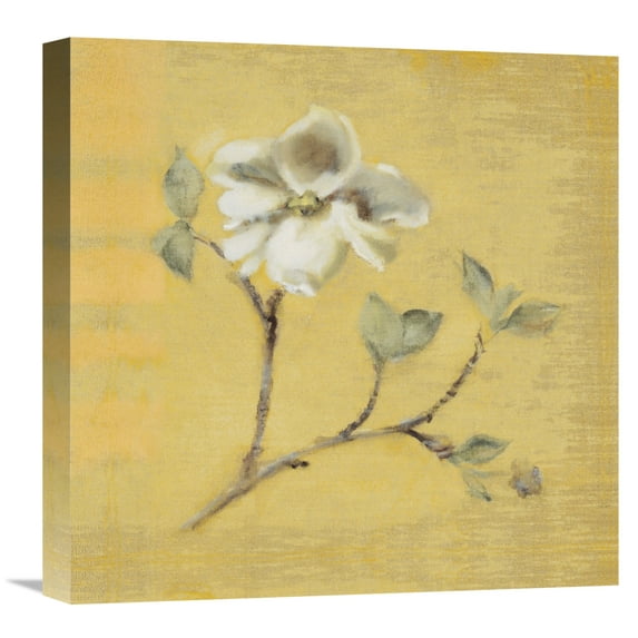 Global Gallery's Cheri Blum 'Dogwood Blossom on Gold' Stretched Canvas Wall Art