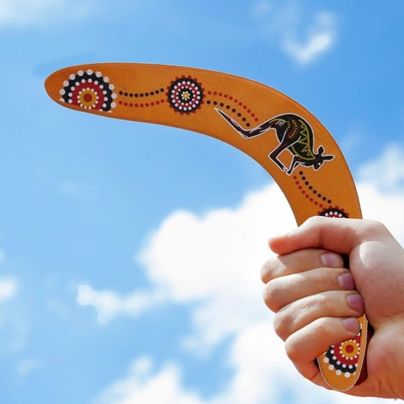Jouet de Sport en Bois Boomerang pour Enfants, Jouet de Sport en Bois Boomerang pour Adolescents et Adultes, Jeu de Lancer et d'Attraper en Forme de V pour Enfants, Jouet de Sport à Lancer pour Enfants