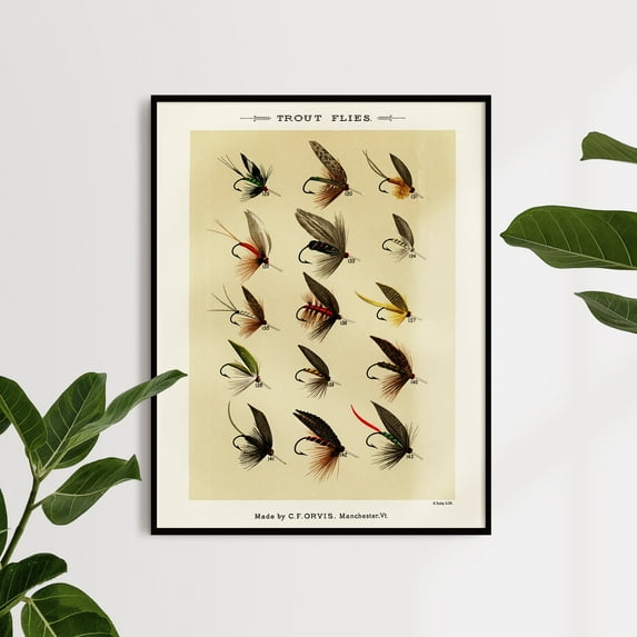 Trout Flies 2 Digitally enhanced from our own original 1892 Edition | Mary Orvis Marbury | Premium Fine Art Print | 19th Century American | Fly Fishing | Portrait | Architecture