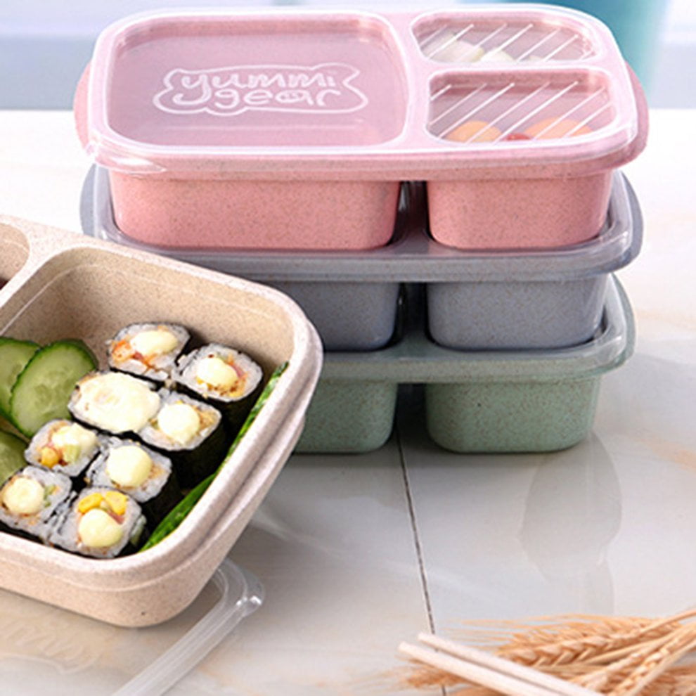 adult lunch containers