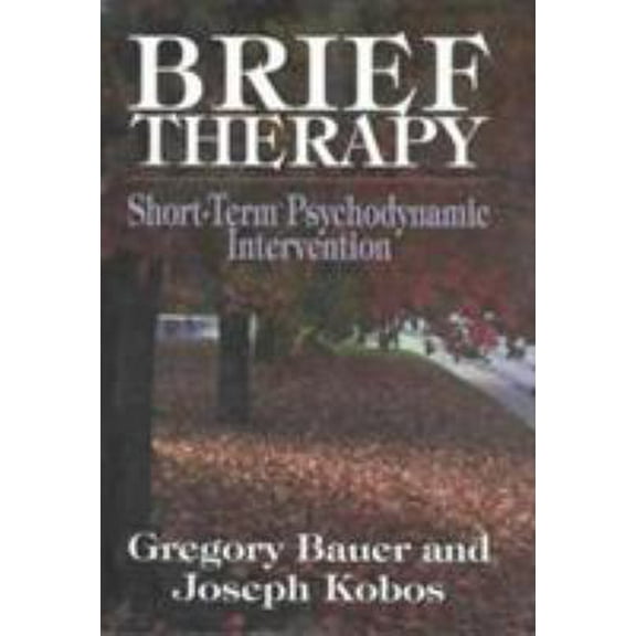 Pre-Owned Brief Therapy: Short Term Psychodynamic Intervention (Paperback) 1568211023 9781568211022
