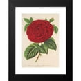 thumbnail image 2 of Charles Antoine Lemaire 13x18 Black Modern Framed Museum Art Print Titled - Rose Duchess of Medina-Celi (1854-1896), 2 of 5