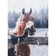 thumbnail image 5 of Guantes Watson Lady Baa Baa Winter Eco con pantalla táctil L, 5 of 5