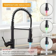 Matte Black Kitchen Faucet with LED Sprayer Single Handle Pull Down Sink Faucet