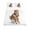 Brown, variant on 3 Piece Twin Sheet Set Funny Giraffes Sheets Set for Twin Size Bed, Breathable Soft Microfiber Bed Sheets Cooling Cute Art Fun Lovely Animals on Toilets Fitted Sheet Deep Pocket, Pillowcases