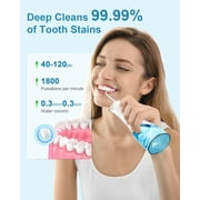 Water Flossers for Teeth, Cordless Portable Water Flossers for Adults Braces, IPX7 Waterproof with 4 Modes, 4 Professional Nozzles, 300ml Tank & 21 Days Runtime for Travel, White, 1Pack