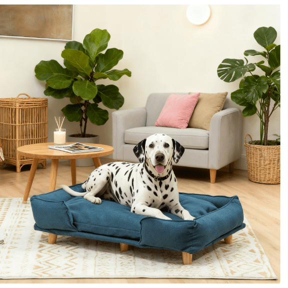 Dog Bed Raised Pet Couch with Comfortable Cushion, Pine Wood Legs, Dark Blue,Large Dog Bed