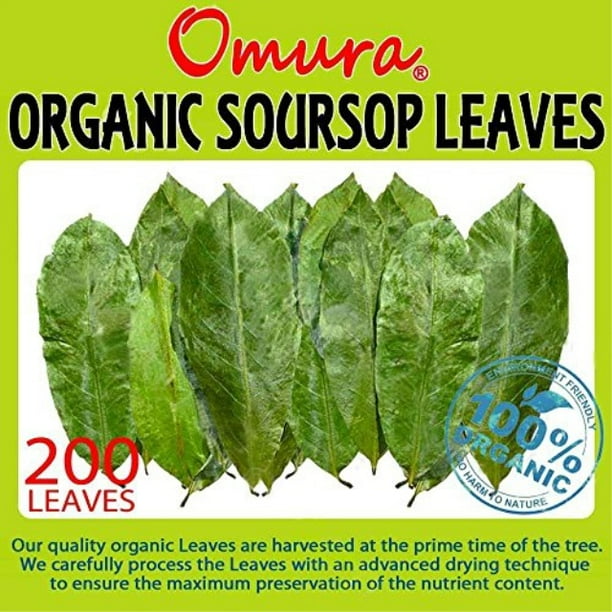 Omura Organic Soursop Guanabana Graviola For Tea 0 Leaves Walmart Com Walmart Com