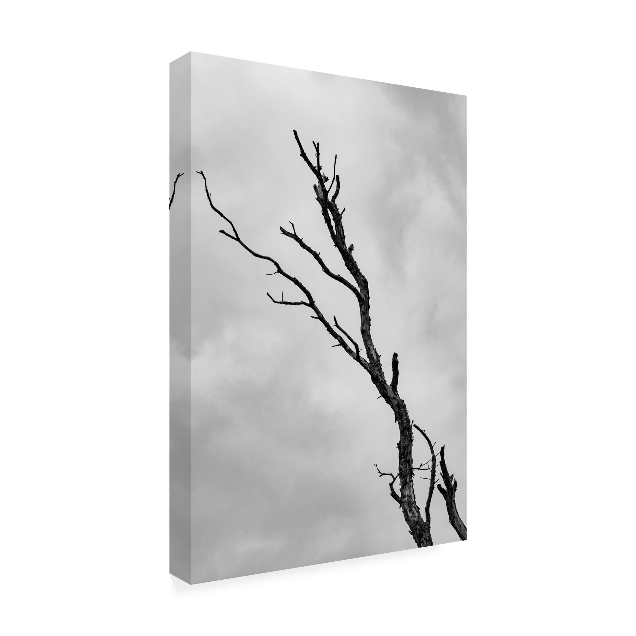 Trademark Fine Art Nicolau Wallenstein Im Not Leaving Without A Fight Canvas Wall Art