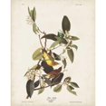 thumbnail image 3 of Audubon, John James 15x18 Black Modern Framed Museum Art Print Titled - Pl 163 Pine Warbler, 3 of 5