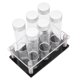 thumbnail image 1 of 6 Piezas De Bodegas De Frijoles De Café, Material De Vidrio De Borosilicato Alto Excepcional Tecnología De Sellado Tubos De Almacenamiento Mantenerse Para Decorar El Hogar S, 1 of 7