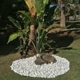 thumbnail image 2 of Rain Forest White Pebbles (30 lbs), 2 of 7