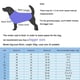 thumbnail image 5 of Fleece Big Dog jacket Winter Thick Windproof dog clothes Hooded Pet Dog coat Jacket for Medium/Large Dogs in 2023 Clothing ShopWise Round, 5 of 7