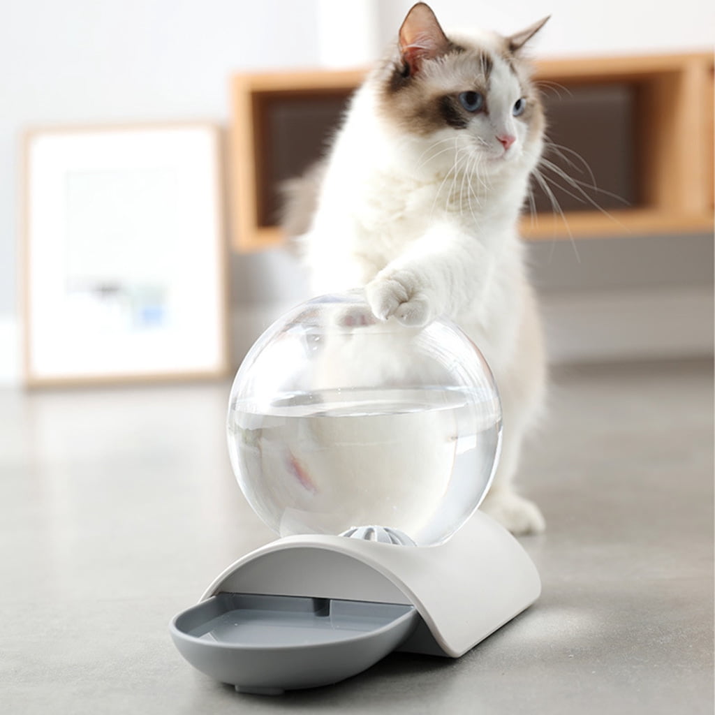 Cats Water Fountain 2.8L Automatic Pet Dog Water Dispenser for Various Pets Indoor Safe Plastics Clear Ball Container