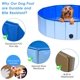 thumbnail image 3 of Piscina plegable para perros de 80x20cm, lavabo para juegos con ducha y bañera para perros/gatos/mascotas al aire libre-azul, 3 of 5