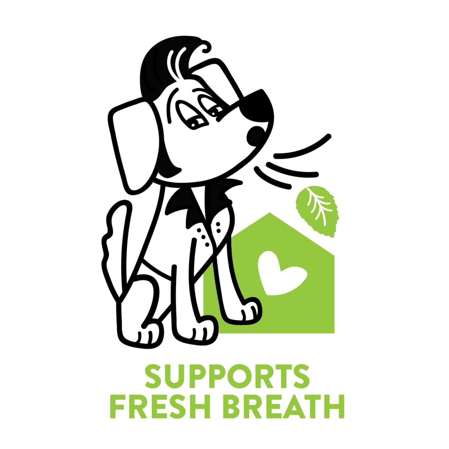 Shameless Pets Blueberried Treasure Blueberry & Mint Soft Baked Dog Treats Made With Upcycled Ingredients, 170 g