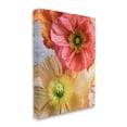 thumbnail image 3 of Detailed Poppy Flower Close Up Botanical & Floral Photograph Gallery Wrapped Canvas Print Wall Art, 3 of 7
