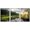 WHITE, variant on wall26 Framed Canvas Print Wall Art Set Sunlight Storm Cloud Forest Tree Pond Nature Wilderness Photography Realism Rustic Landscape Colorful for Living Room, Bedroom, Office - 24"x36"x3 Bl