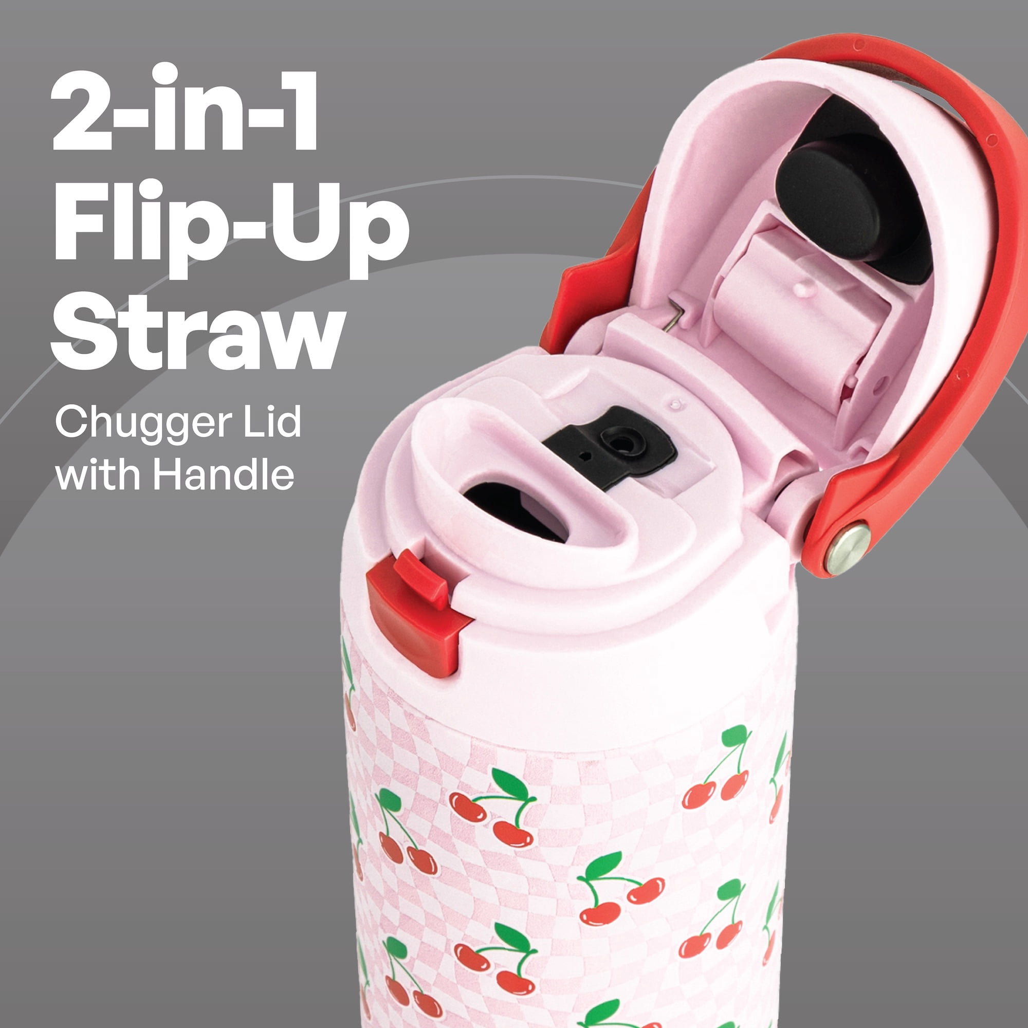 TAL 24oz Stainless Steel 2-in-1 Water Bottle with Straw and Chug Lid, Cherry