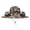 Coffee-H, variant on ibiyuan Solar Fan Hat with Mist Wide Brim Solar Fan for Men Women Usb & Solar Powered Fishing Hat with Neck Flap 2-In Hands-Free Hats Fans Mens Sun Hat Fan Hat for Camping & Beach