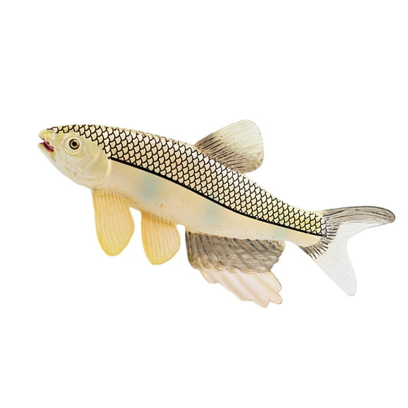 Esquirla Jouet Modèle Figurines d'Animaux Marins Réalistes pour Enfants Adultes Cadeaux Collection Hareng
