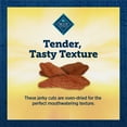 thumbnail image 6 of Blue Buffalo True Chews Premium Jerky Cuts Dog Treats, Beef, 10-oz Bag, 6 of 9