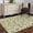 Light Beige Grass Green, variant on Area Rug for Living Room, Green Floral Non-Slip Indoor Large Carpet for Bedroom/Dining Room, Vintage Rustic Botanical Spring Washable Low-Profile Rectangle Floor Mat Runner Rugs - 3 x 5 Ft