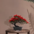 thumbnail image 2 of Emulated Plant Bonsai Simulation Plant Indoor Bonsai Decorative Supply, 2 of 6