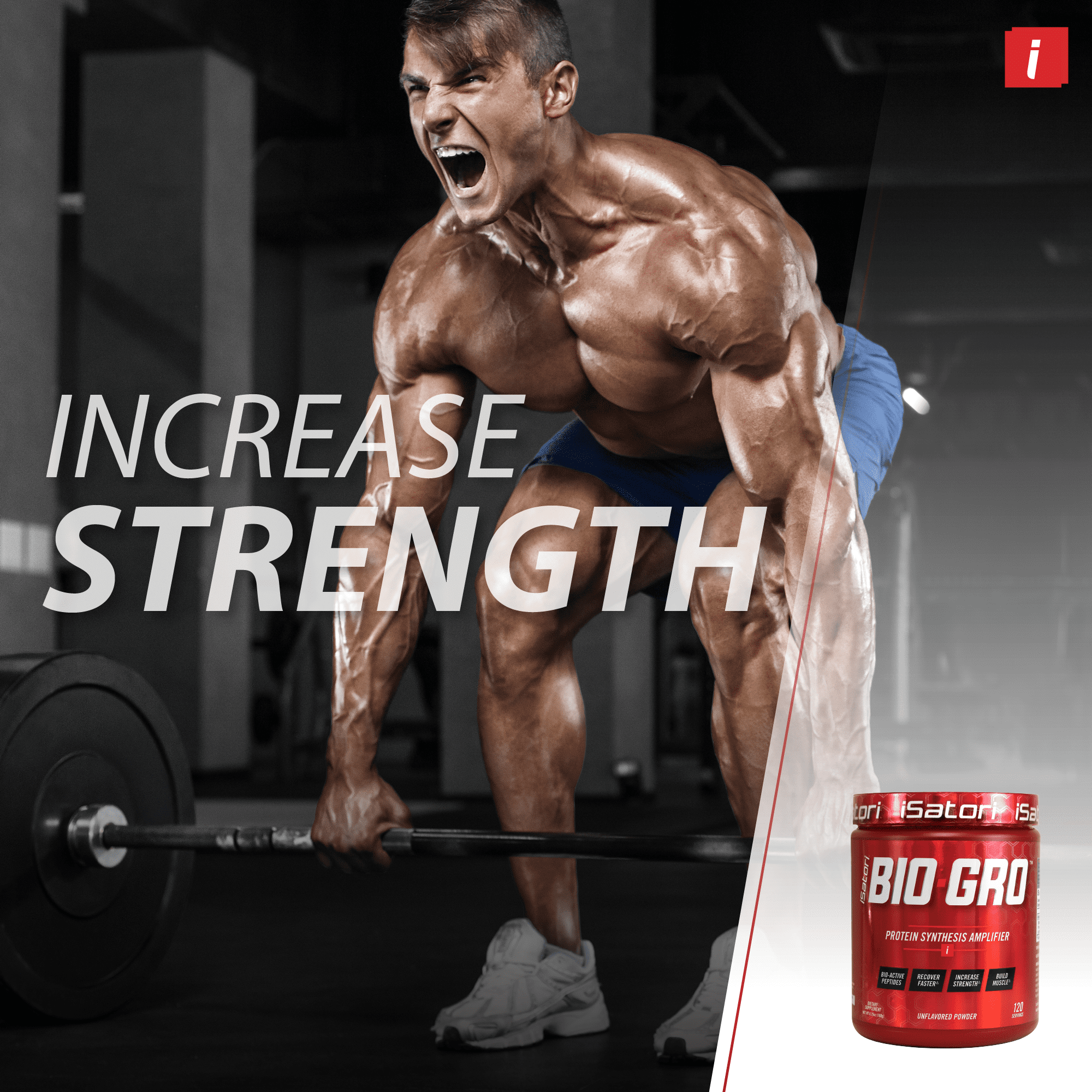 Isatori Bio-Gro, Protein Synthesis Amplifier, Unflavored, 6.35 oz (180 g)