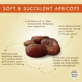 thumbnail image 3 of ORGANIC Turkish Dried Apricots - Sunny Fruit (2 Bags) - (5) Portion Packs per Bag - NO Added Sugars, Sulfurs or Preservatives | NON-GMO, VEGAN & HALAL SHO8, 3 of 3