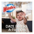 thumbnail image 2 of Limpiador líquido Windex original para vidrios y superficies 500 ml, 2 of 4
