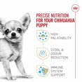 thumbnail image 3 of Nutrition Santé pour Races Chihuahua Chiot - Nourriture Sèche pour Chien 2,5 Lb, 3 of 5