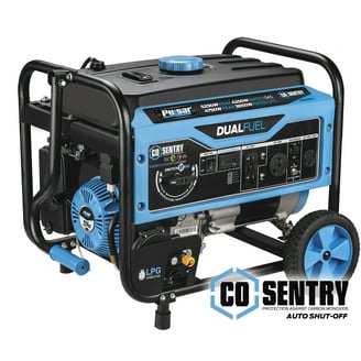 EF EcoFlow Smart Dual Fuel Generator 3000, LPG & Gas Powered, Smart  Control, Portable Backup for Home Use, Emergency Power, Two AC Outputs,  Compatible with DELTA 3 Plus & Other AC-Connected Devices -