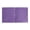 Purple, variant on 3 Hole Pocket Folders (1 Pack), Plastic Pocket Folders for 3 Ring Binder, 3-Hole Punched Folder with Pockets, 3 Hole Punched with 2 Pockets, Hold Letter Size Paper(Green)