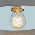 thumbnail image 5 of 40-Watt Equivalent A15 Dimmable Fine Bendy Filament LED Vintage Edison Light Bulb Warm White (2-Pack), 5 of 5