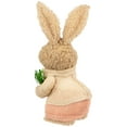 thumbnail image 6 of Northlight Plush Boy Easter Rabbit Figurine with Carrots - 11", 6 of 6