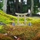 thumbnail image 3 of 1 set of Fish Tank Torii Gate Resin Statue Miniature Resin Torii Gate Aquarium Ornament, 3 of 4