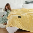 thumbnail image 1 of Raschel Blanket, Double Layer Blanket, Soft Blanket, Warm Blanket, Cozy Blanket, Bed Blanket, Sofa Blanket, Thick Blanket, Winter Blanket, Throw Blanket, 1 of 6