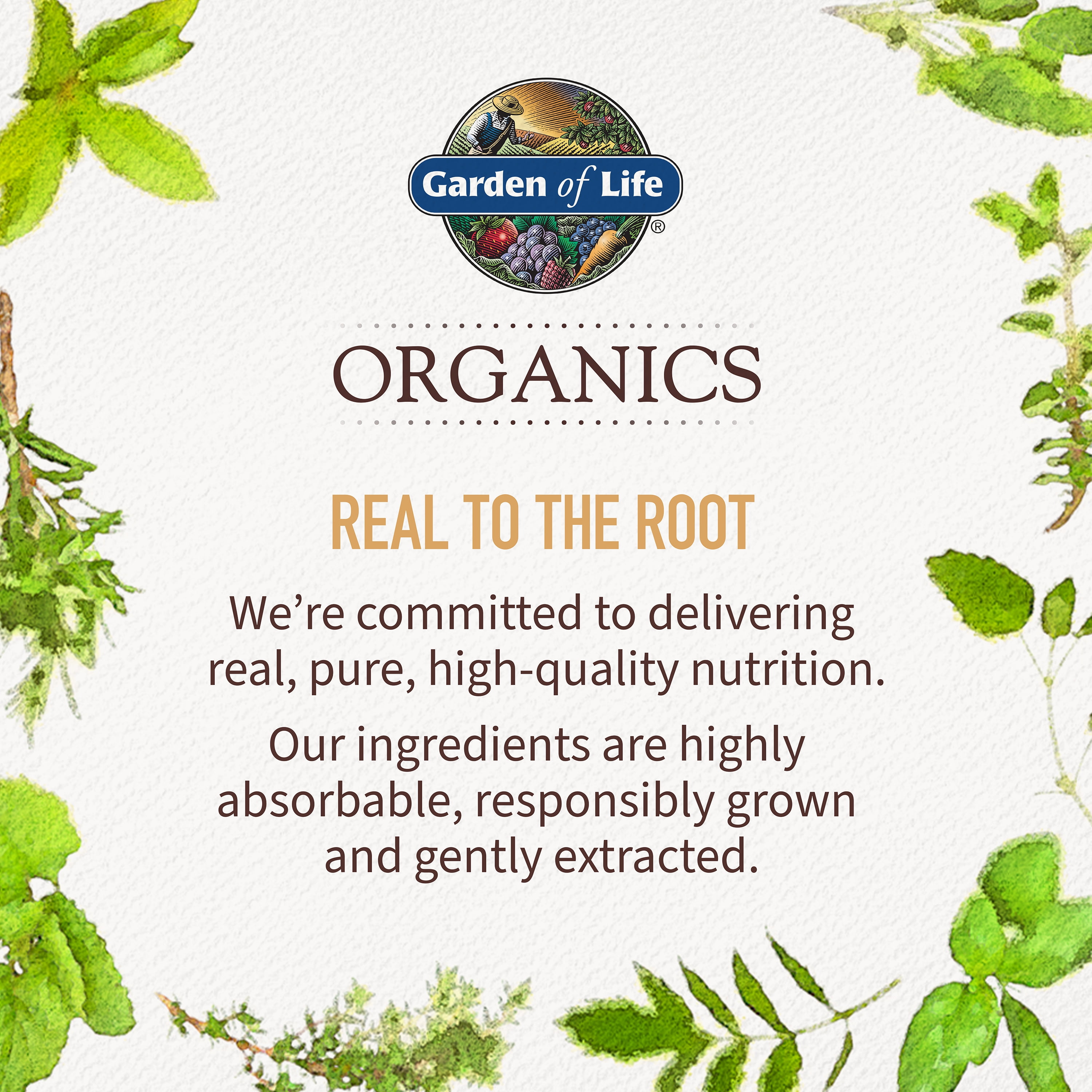 Garden of Life Organics Extra Strength Turmeric, 60 Vegan Tablets