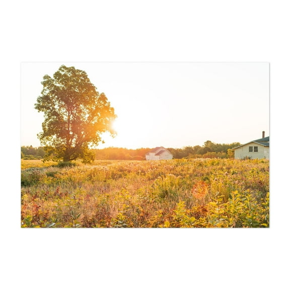 Golden Hours - Maine Photography Unframed Wall Art Print 5 x 7 inches