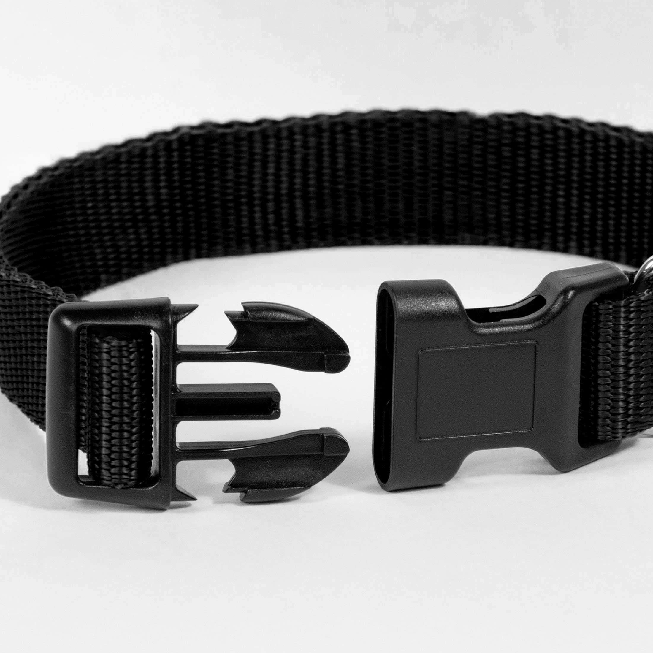 Pet Champion Dog Collar Large Black, 1.0 CT