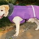 thumbnail image 5 of Abrigo para perros Greeniant invierno impermeable multicolor S, 5 of 6