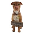thumbnail image 2 of Ebros Lifelike American Pit Bull Pet Dog Statue W/ Jingle Collar And Sign 13" H, 2 of 9